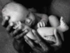 agbabyinhands.gif